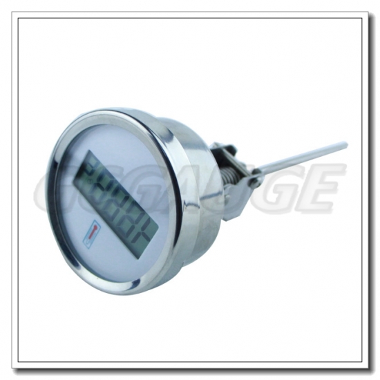 Solar Digital Thermometer